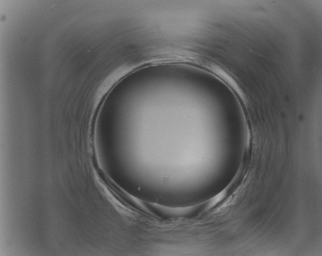 X0000071781485200606301208