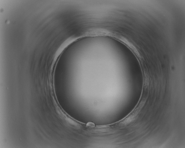 X0000071781486200606301208