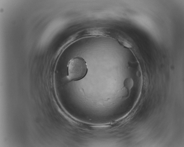 X0000071781487200606301208