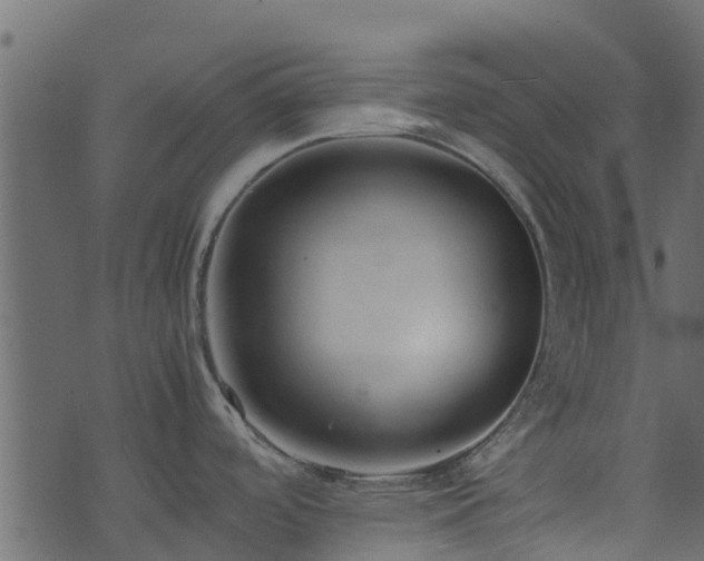 X0000071781488200606301208