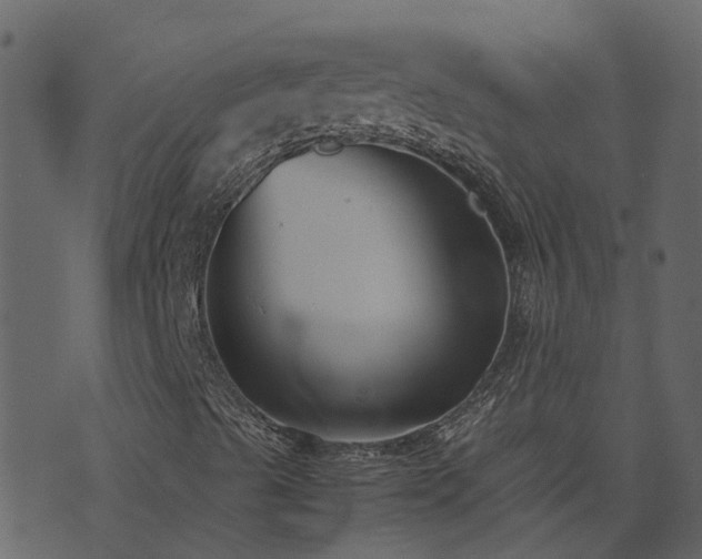 X0000071781489200606301207