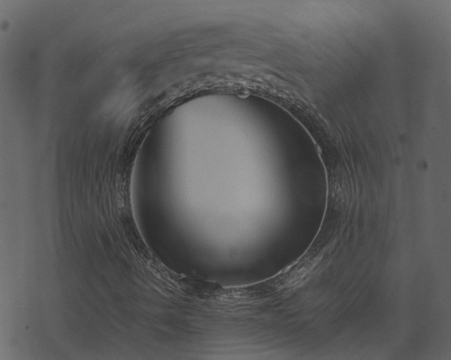 X0000071781490200606301207