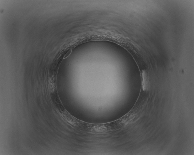 X0000071781491200606301207