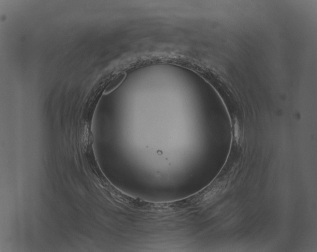 X0000071781492200606301207