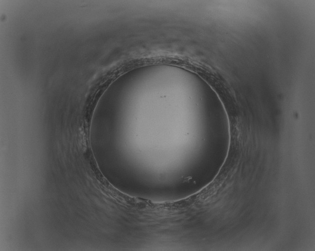 X0000071781493200606301207