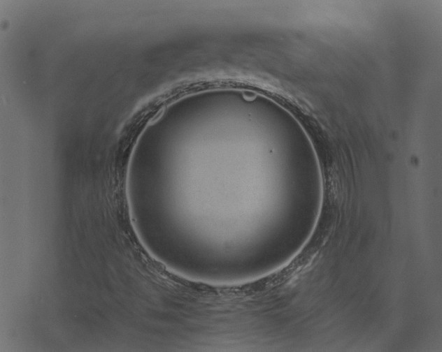 X0000071781494200606301207