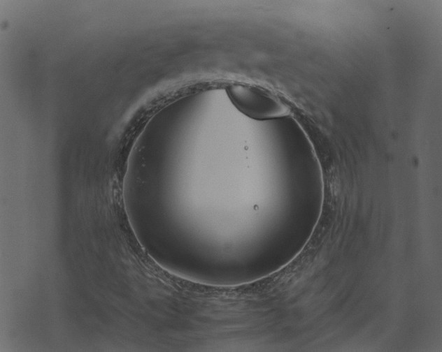 X0000071781495200606301207