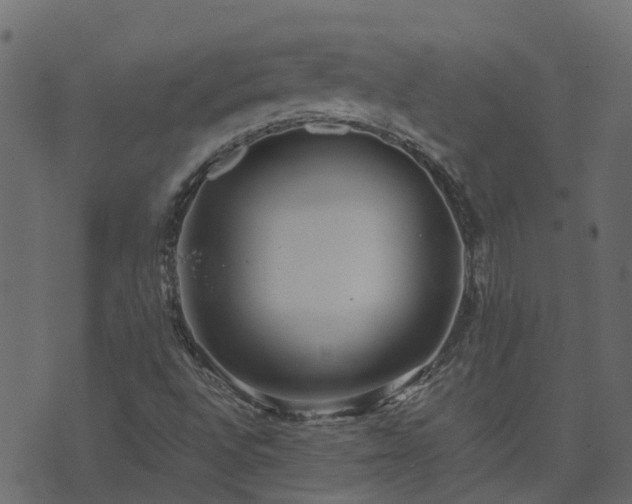 X0000071781496200606301207