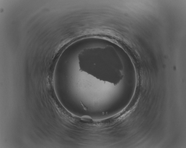 X0000071781497200606301207