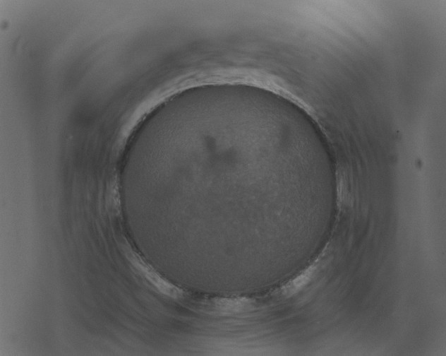 X0000071781498200606301207