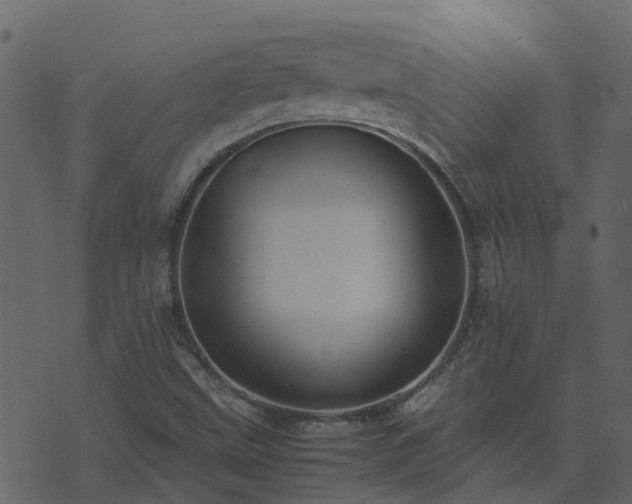 X0000071781499200606301207