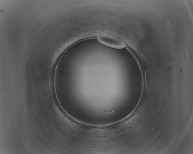 X0000071781500200606301207