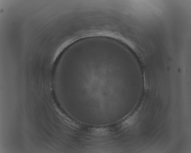 X0000071781501200606301207