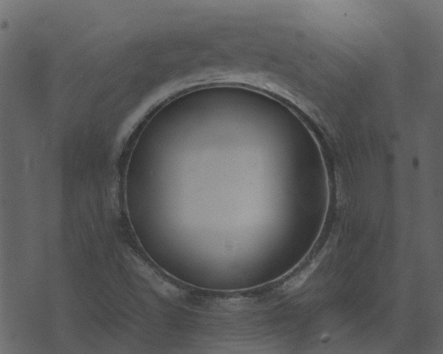 X0000071781502200606301207