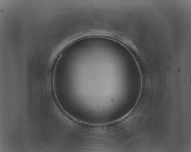 X0000071781504200606301207