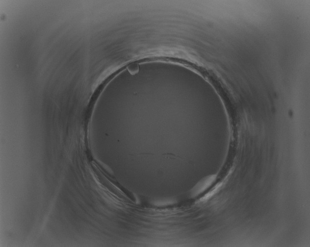 X0000071781505200606301207