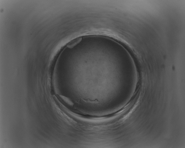 X0000071781506200606301207