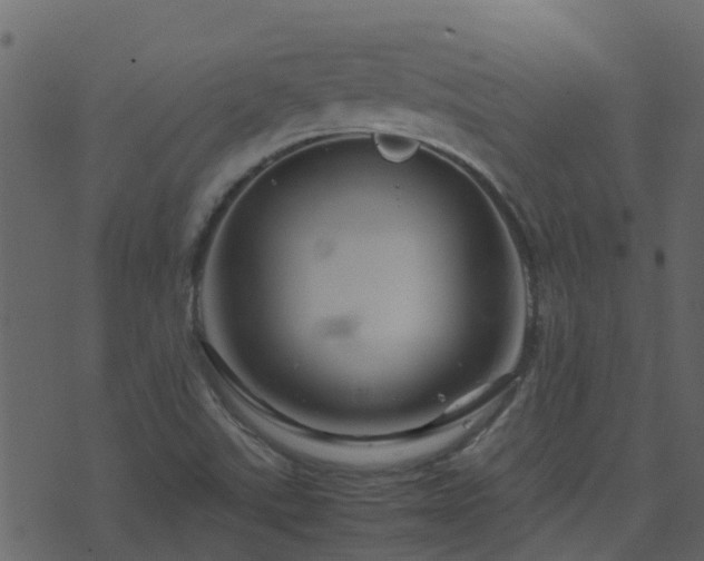 X0000071781507200606301207