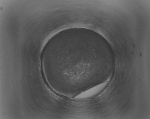 X0000071781508200606301207