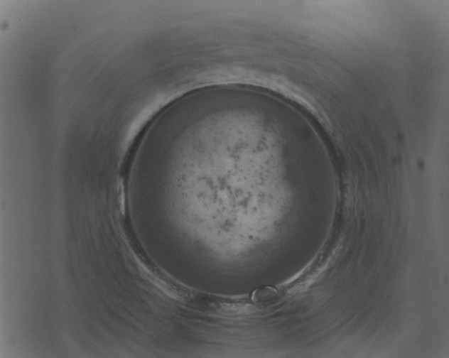 X0000071781509200606301207