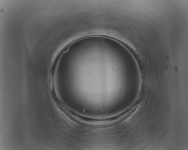 X0000071781510200606301207