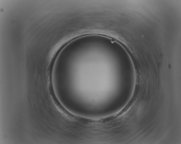 X0000071781511200606301207