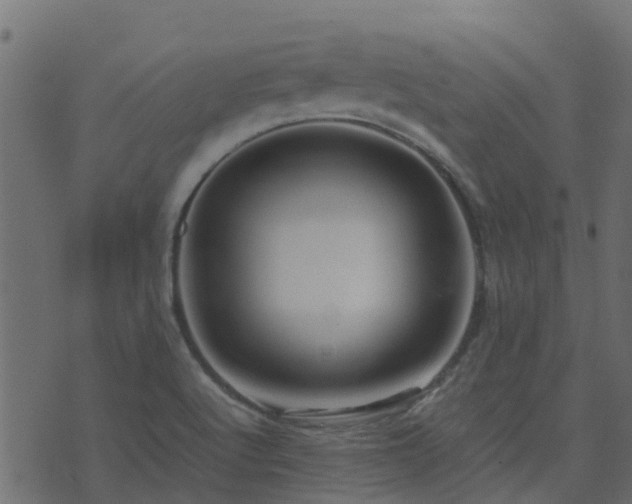 X0000071781512200606301207