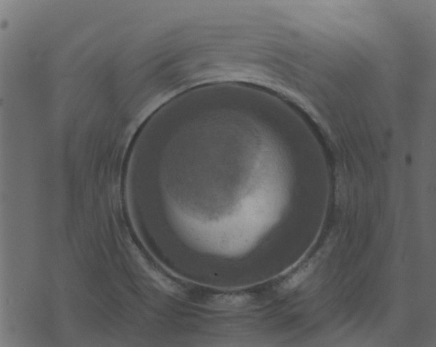 X0000071781513200606301207