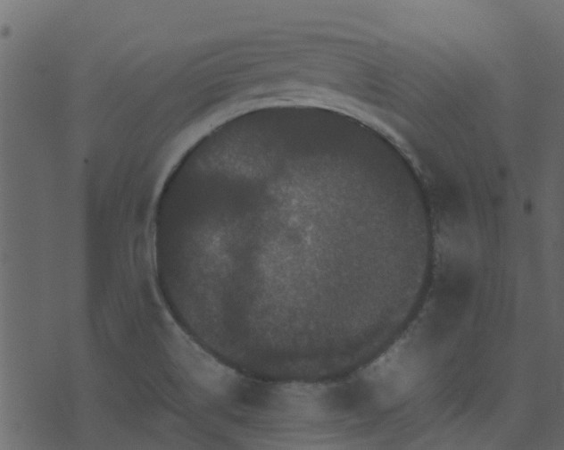 X0000071781514200606301207