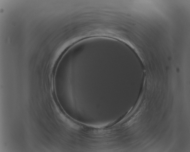 X0000071781515200606301207