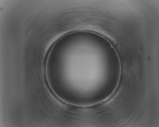 X0000071781517200606301207