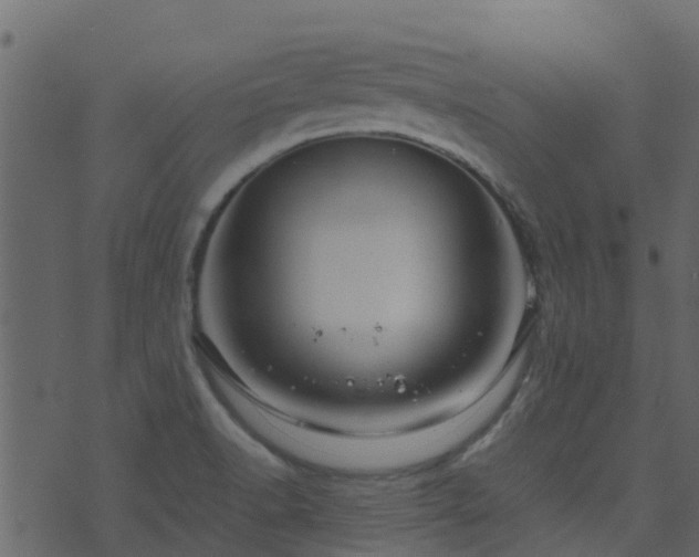 X0000071781518200606301207