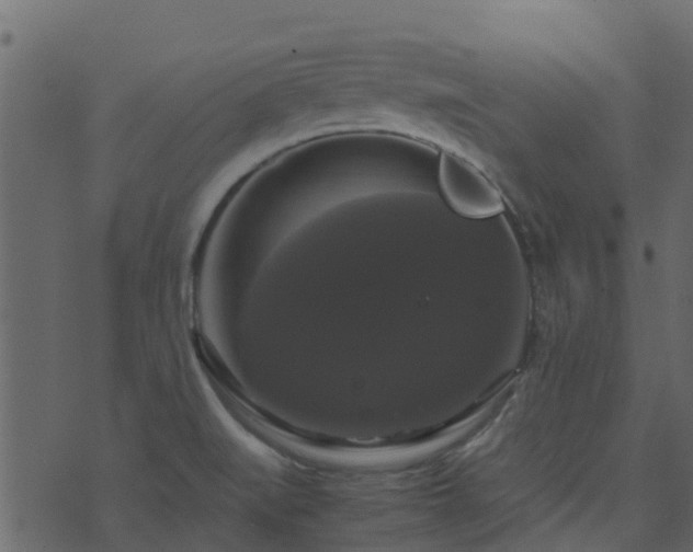 X0000071781519200606301207