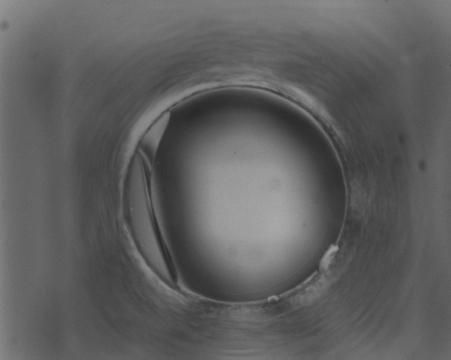 X0000071781520200606301207