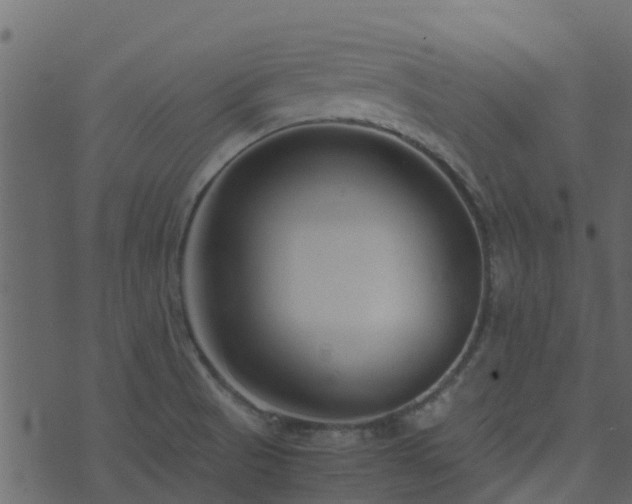 X0000071781521200606301207