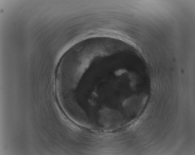 X0000071781522200606301207