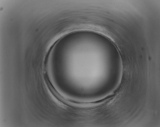 X0000071781523200606301207