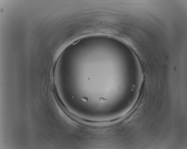 X0000071781524200606301207