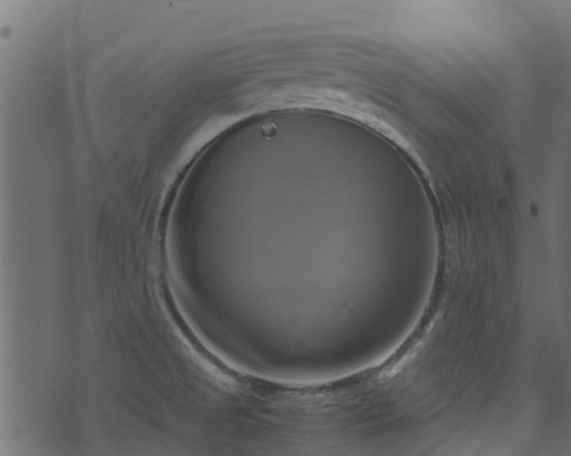 X0000071781525200606301207