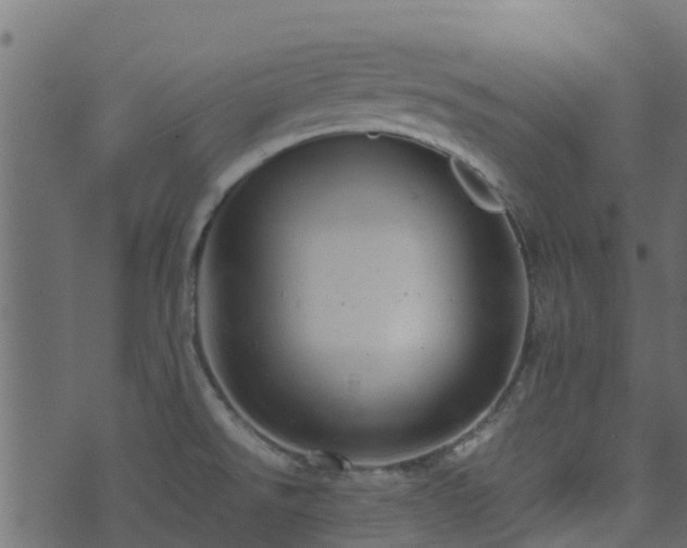 X0000071781526200606301207