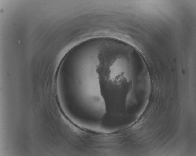 X0000071781527200606301207