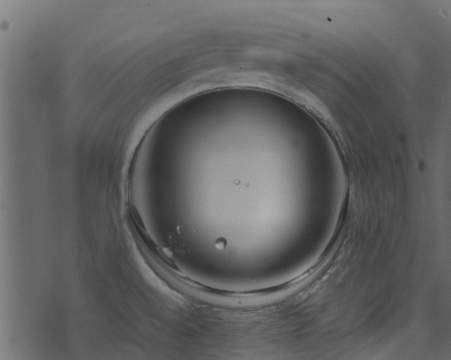 X0000071781528200606301207