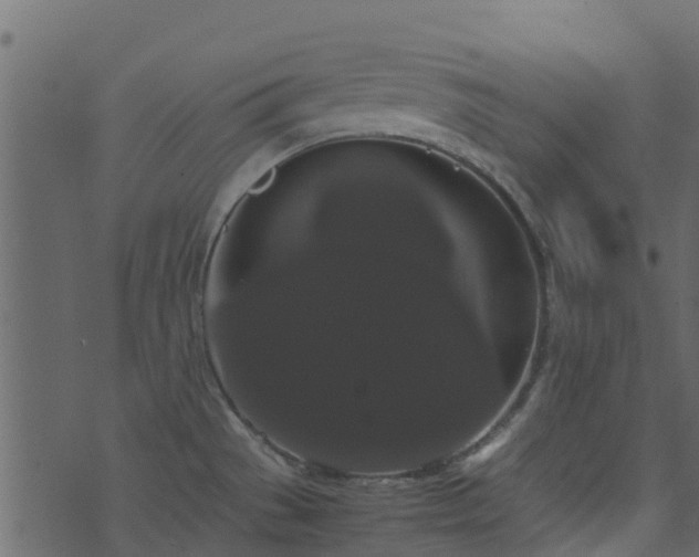 X0000071781529200606301207