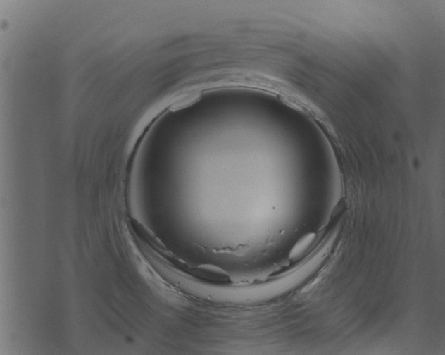 X0000071781530200606301207