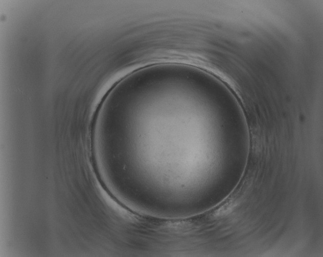 X0000071781531200606301207