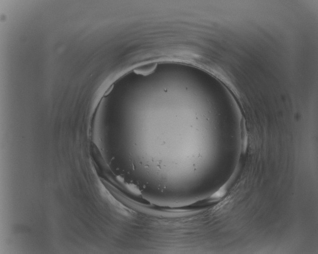 X0000071781532200606301207