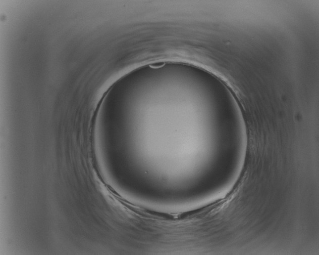 X0000071781534200606301207