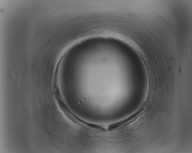 X0000071781536200606301207