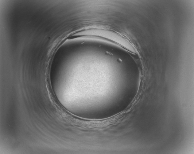 X0000071780001200607071442