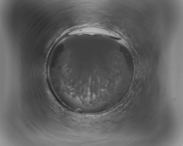 X0000071780002200607071442